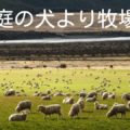 道徳は牧場の羊